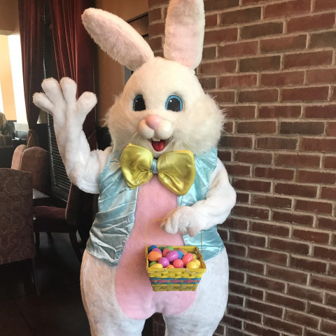 Hire Vegas Easter Bunny - Easter Bunny in Las Vegas, Nevada