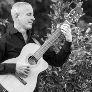 Dr. Seth Greenberg: Versatile Music for Any Event - Guitarist in Claremont, California