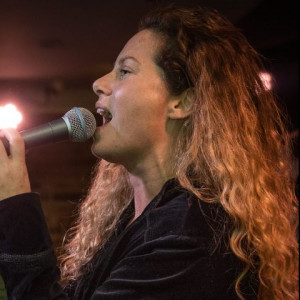 Ann Marie Palmieri - Versatile Singer - Singer/Songwriter in Bethel, Connecticut
