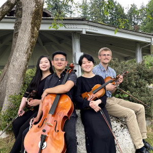 Vilächel String Quartet - String Quartet / Wedding Entertainment in Edmonds, Washington