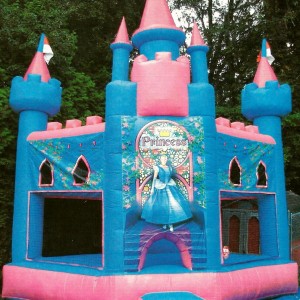 Village Idiotz - Party Inflatables / Family Entertainment in Manchester, New Hampshire