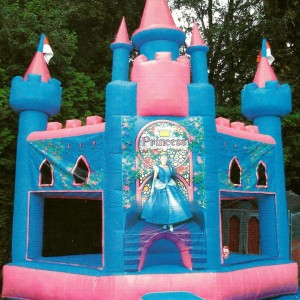 Village Idiotz - Party Inflatables / College Entertainment in Manchester, New Hampshire