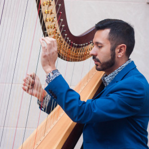 Vincent Pierce, Harpist - Harpist in Concord, California