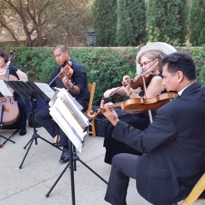 Vintage Strings - String Quartet / Wedding Musicians in San Diego, California