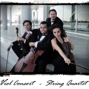 Viol Consort String Quartet - String Quartet / String Trio in McAllen, Texas