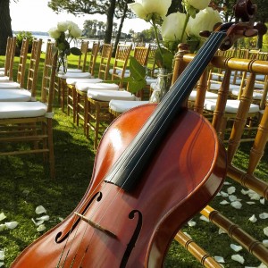 Viola Dolce - String Quartet / Wedding Entertainment in Montreal, Quebec