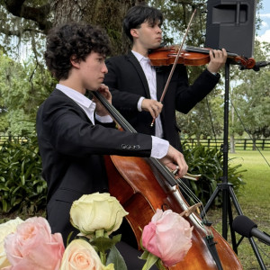 Violin & Cello - Classical Duo in Orlando, Florida