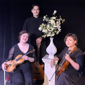 Violli Trio - String Trio in Toronto, Ontario