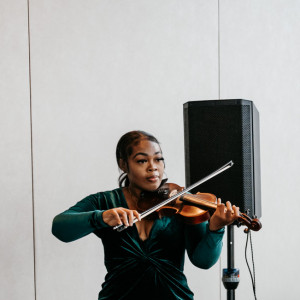 Virgin Island Violinist - Violinist / Wedding Entertainment in Daytona Beach, Florida