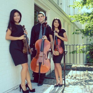 Vivace String Trio