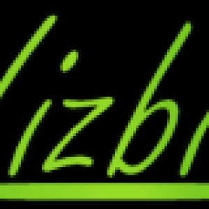 Vizbiz Promotional Solutions