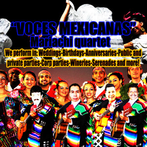 "Voces Mexicanas" Mariachi Quartet - Mariachi Band / Spanish Entertainment in St Helena, California