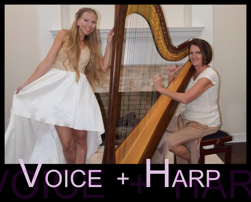 Gallery photo 1 of Voice + Harp