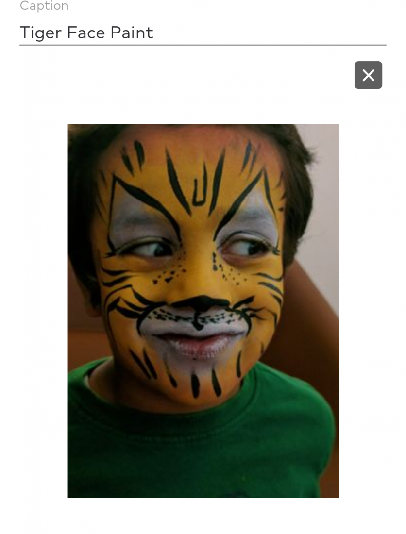 Gallery photo 1 of Wahi Face Painting &Balloon Twisting