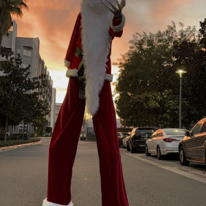 Walking Wabel - Stilt Walker in Anaheim, California