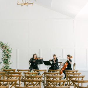 Watercress Trio - String Trio in St Paul, Minnesota