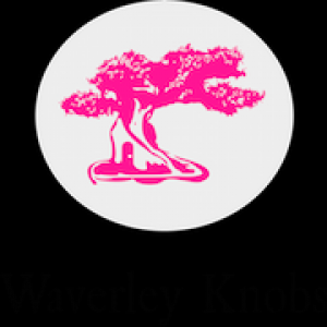 Waverley Knobs Entertainment - Video Services in Boston, Massachusetts