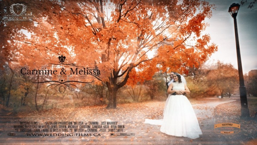 Gallery photo 1 of Wedding-Films