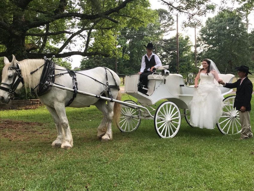 Gallery photo 1 of Wedding Carriage and Funeral Hearse