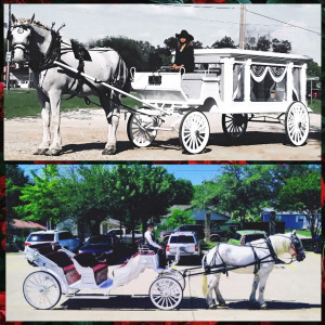 Wedding Carriage and Funeral Hearse