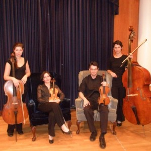 Wedding Musicians - Classical Ensemble / Dancer in Buffalo, New York