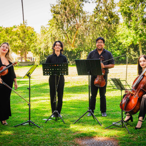 Wedding Serenade Wedding and Event Music - String Quartet / Wedding Entertainment in Chicago, Illinois