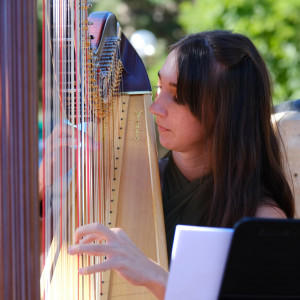 Wedding & Special Event Musician - Harpist / Celtic Music in Muncie, Indiana