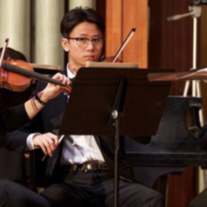 Wedding/Event/Concert Musician - Strolling Violinist in Boston, Massachusetts