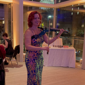 Wendy Lynn Markus, Professional Violinist - Violinist / Wedding Entertainment in Madison, Wisconsin