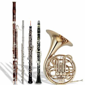West Chester University Woodwind Quintet - Woodwind Musician in West Chester, Pennsylvania