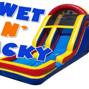 Wet N' Wacky (Inflatable Water Fun)