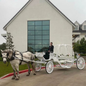 White Horse and Carriage Company - Horse Drawn Carriage / Asian Entertainment in San Antonio, Texas
