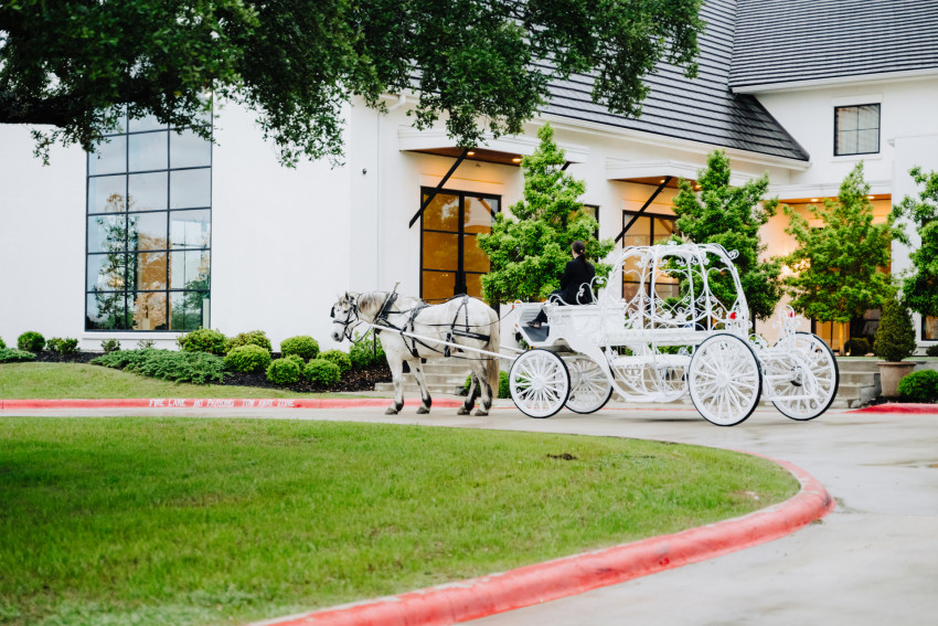 Gallery photo 1 of White Horse and Carriage Company