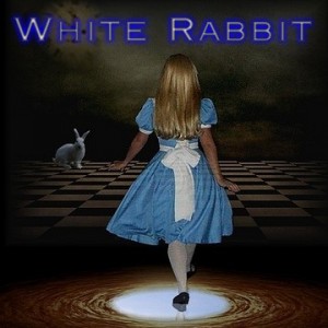 White Rabbit - Classic Rock Band in Endicott, New York
