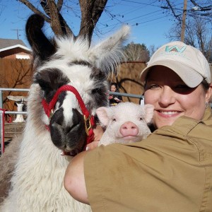 Whitley Acres Exotic Ranch & Stables - Petting Zoo in Levelland, Texas