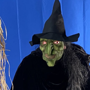 Wicked Witch Impersonator