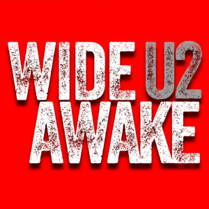 Wide Awake - U2 Tribute Band in Miami, Florida
