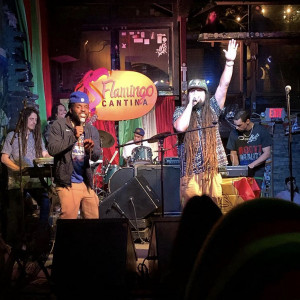 Wi’deya - Reggae Band / Caribbean/Island Music in Houston, Texas