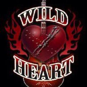 Wild Heart - Classic Rock Band / Country Band in Luther, Oklahoma