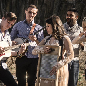 Wild Magnolia - Bluegrass Band in Astoria, New York