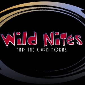 Wild Nites and the C&B Horns - Party Band / Halloween Party Entertainment in Westport, Massachusetts