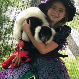 Wildlife Wonderland INC - Petting Zoo / Outdoor Party Entertainment in West Palm Beach, Florida