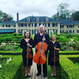 Will Hayes, Cellist - Cellist in Mechanicville, New York