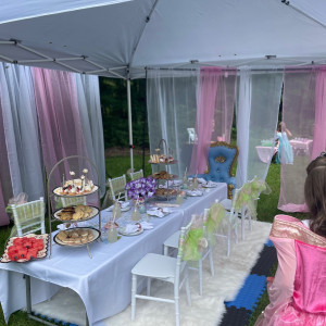 Willow Spa and Tea Parties NJ Llc.