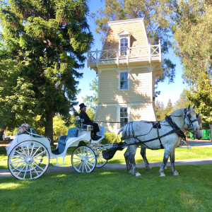 Wine Country Wedding Carriages - Horse Drawn Carriage in Cotati, California