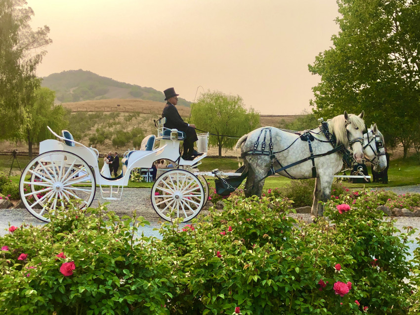 Gallery photo 1 of Wine Country Wedding Carriages