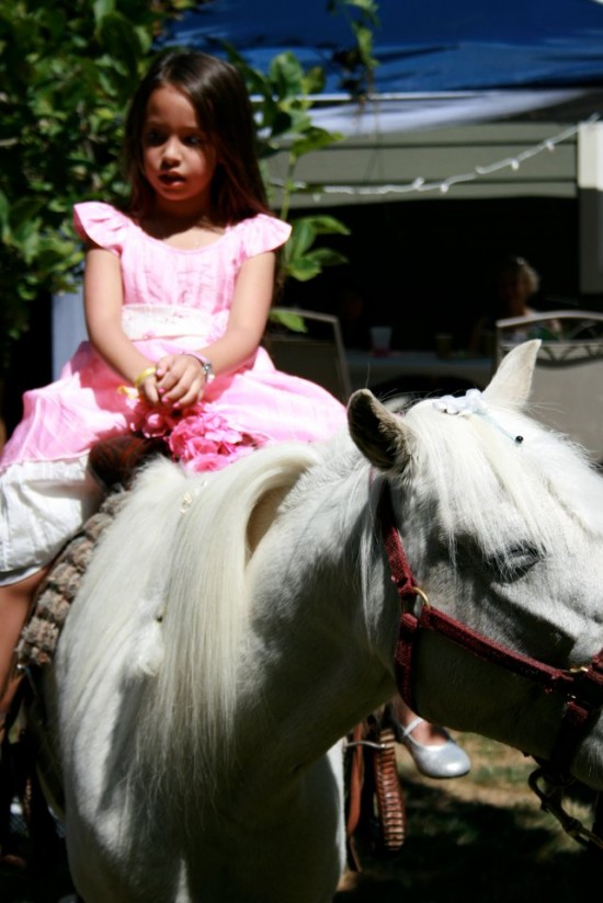 Gallery photo 1 of Wish Upon a Pony