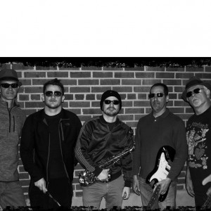 Witness Protection - Cover Band in Fairfax, Virginia