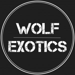 Wolf Exotics