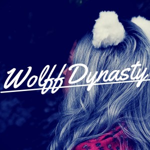 Wolff Dynasty - Dance Band in Miami, Florida